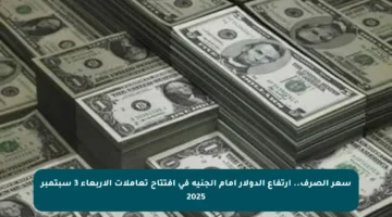 سعر الصرف.. ارتفاع الدولار أمام الجنيه في افتتاح تعاملات الأربعاء 3 سبتمبر 2025